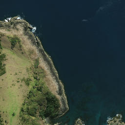 Satellite imagery of Cape Wiwiki, NZ