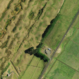Satellite imagery of D 49, NZ