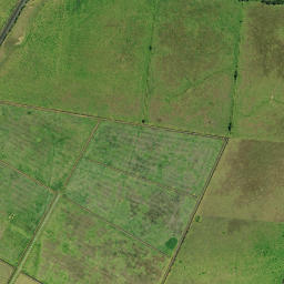 Satellite imagery of D 49, NZ