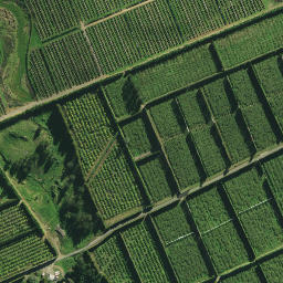 Satellite imagery of 6A NO 2, NZ