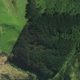 Satellite imagery of 1151 NO 2, NZ