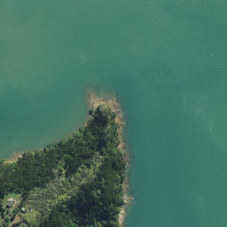 Satellite imagery of Whakapu Point, NZ