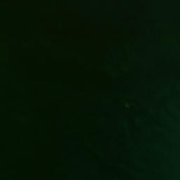 Satellite imagery of Tauroa Point (Reef Point), NZ