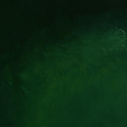 Satellite imagery of Tauroa Point (Reef Point), NZ