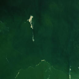 Satellite imagery of Tauroa Point (Reef Point), NZ