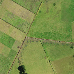 Satellite imagery of D 49, NZ