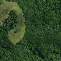 Satellite imagery of 32 MAUNGAHEREMONA, NZ