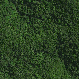 Satellite imagery of MAUNGATANIWHA NO 2, NZ