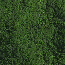 Satellite imagery of MAUNGATANIWHA NO 2, NZ