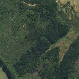 Satellite imagery of Red Cliffs, NZ