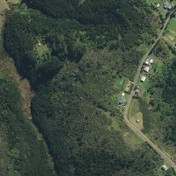 Satellite imagery of Whakapu Point, NZ