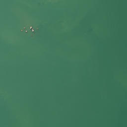 Satellite imagery of Kauri Point, NZ