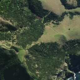 Satellite imagery of Howe Point, NZ