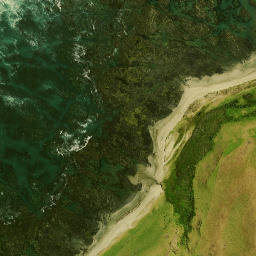 Satellite imagery of Reef Point, NZ