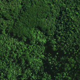 Satellite imagery of 32 MAUNGAHEREMONA, NZ