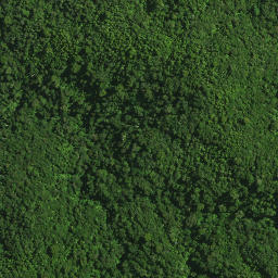 Satellite imagery of MAUNGATANIWHA NO 2, NZ