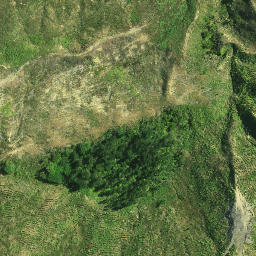 Satellite imagery of KAURI PUTETE, NZ
