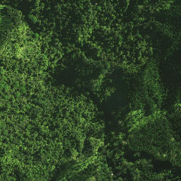 Satellite imagery of TANGITU NO 2, NZ