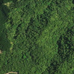 Satellite imagery of TANGITU NO 2, NZ