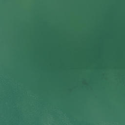 Satellite imagery of Kauri Point, NZ