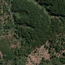 Satellite imagery of Cerro Los Tricaos, CL