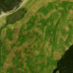 Satellite imagery of Reef Point, NZ