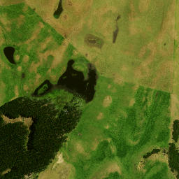 Satellite imagery of Reef Point, NZ
