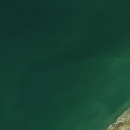 Satellite imagery of Puketutu Pa, NZ