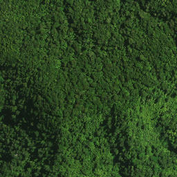 Satellite imagery of MAUNGATANIWHA NO 2, NZ