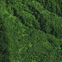 Satellite imagery of MAUNGATANIWHA NO 2, NZ