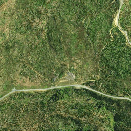 Satellite imagery of KAURI PUTETE, NZ