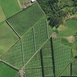 Satellite imagery of 1151 SO 58553, NZ