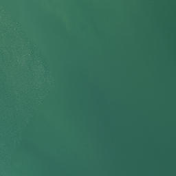 Satellite imagery of Kauri Point, NZ