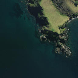 Satellite imagery of Howe Point, NZ
