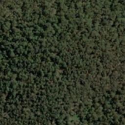 Satellite imagery of Adams Hill, AU