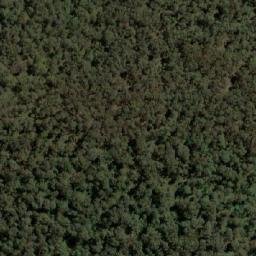 Satellite imagery of Adams Hill, AU