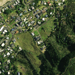 Satellite imagery of Puketutu Pa, NZ