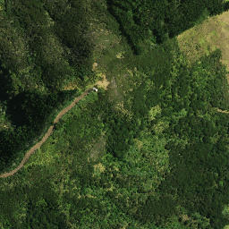 Satellite imagery of Puketutu Pa, NZ