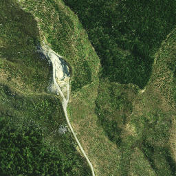 Satellite imagery of KAURI PUTETE, NZ