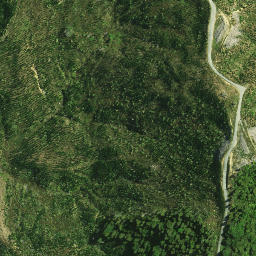 Satellite imagery of KAURI PUTETE, NZ