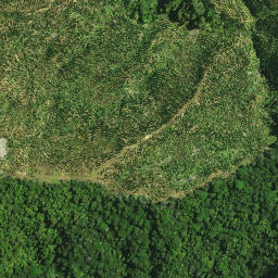 Satellite imagery of KAURI PUTETE, NZ
