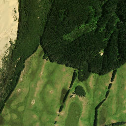 Satellite imagery of 38 TAUROA, NZ