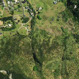 Satellite imagery of Puketutu Pa, NZ