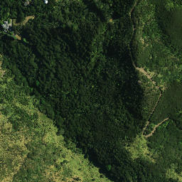Satellite imagery of Puketutu Pa, NZ