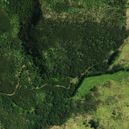 Satellite imagery of Puketutu Pa, NZ
