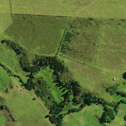 Satellite imagery of Patuwahine Pa, NZ
