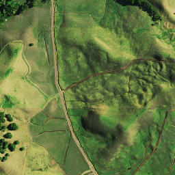 Satellite imagery of 1041, NZ
