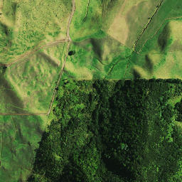 Satellite imagery of 1041, NZ