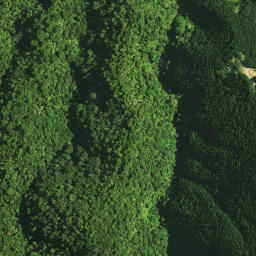 Satellite imagery of 1141, NZ