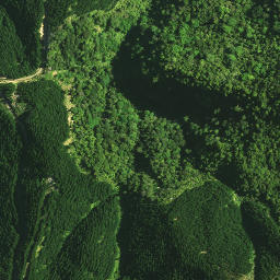 Satellite imagery of 1141, NZ